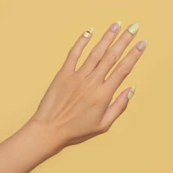 Best deal 🧨 glamnetic Pompompurin Nails 🔔 -Cheapglamnetic Store 2022 06 Pompompurin Hand WebOpt 05