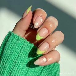 Buy 🥰 glamnetic ☀️ Summer Picnic Collection 😉 -Cheapglamnetic Store pop polished limelight webopt 893a4065 546f 42d5 8dd8 c3154ecea1ac