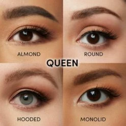 Brand new 😍 glamnetic Queen 🛒 -Cheapglamnetic Store queeneyegrid webopt